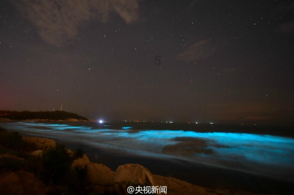 狗见狗爱!爱不释口~